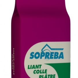 LIANT COLLE PLÂTRE 25 KG